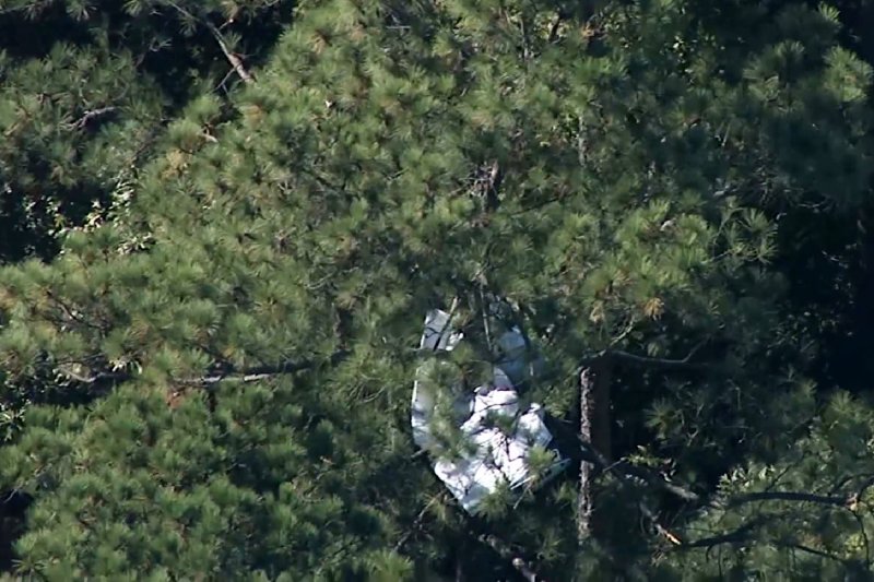 cagelfa.com plane crashes