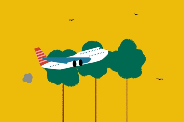 cagelfa.com pollution