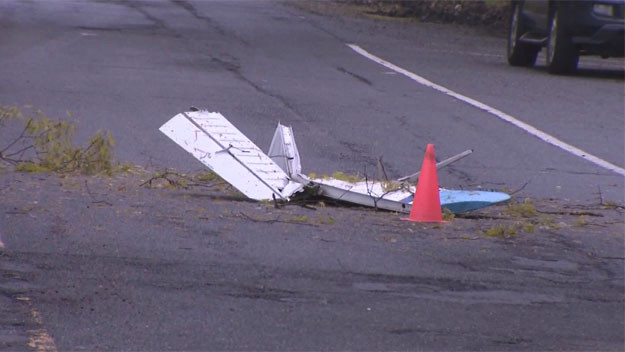 cagelfa.com plane crashes